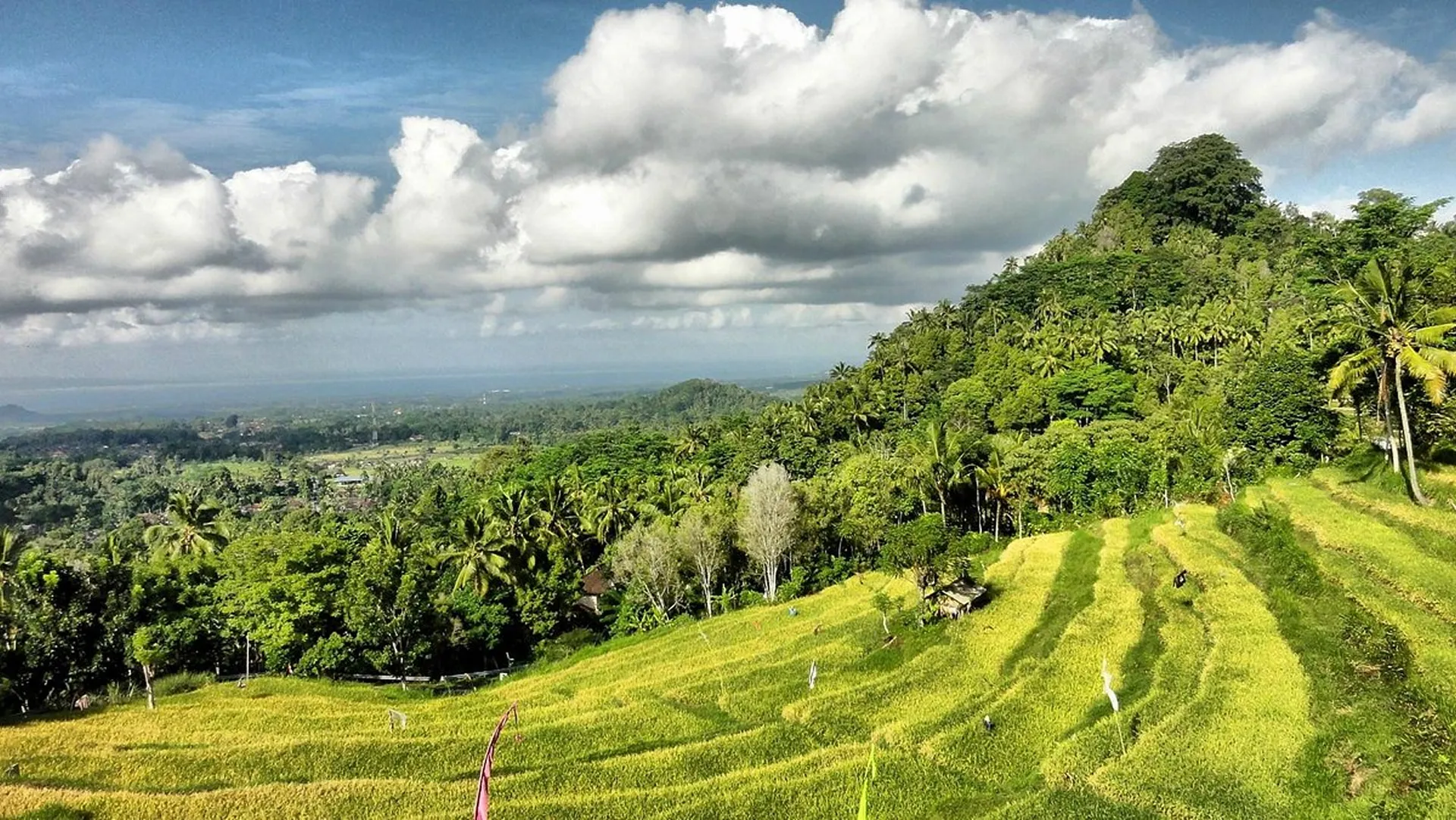True Blue Bali Trip east bali sacred journey Besakih Temple tour ricefield view