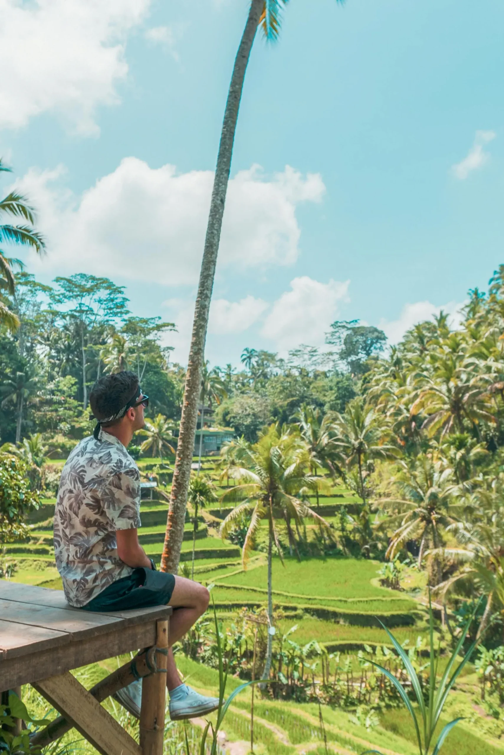 True Blue Bali Trip full day private north Ubud spiritual nature tour Tegalalang jungle view