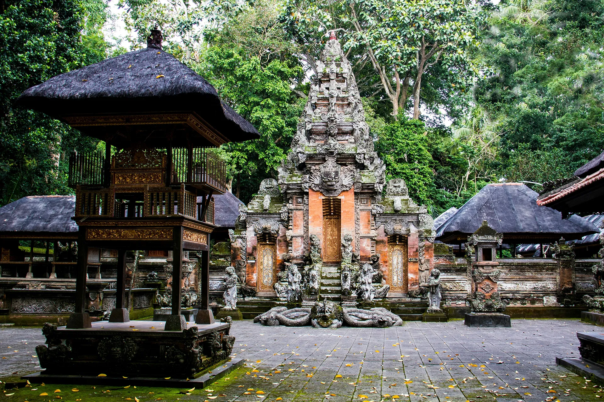 True Blue Bali Trip full day private Ubud culture nature experience Monkey Forest Temple