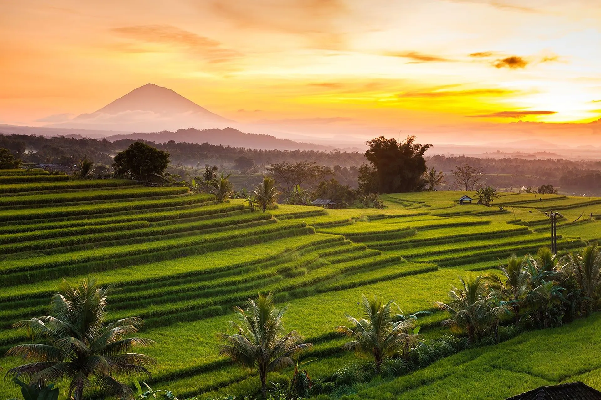 True Blue Bali Trip Jatiluwih rice terrace view with sunrise