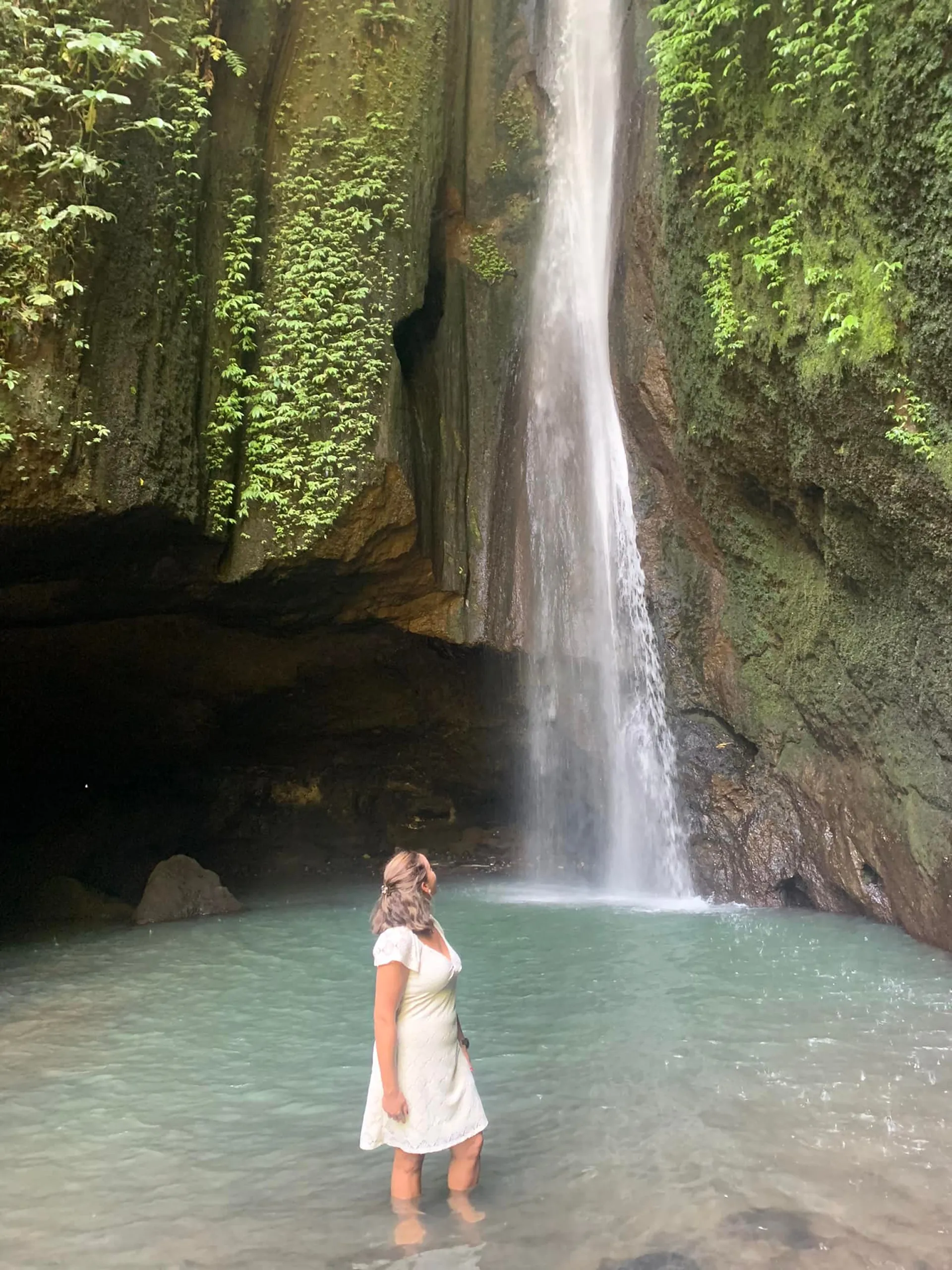 True Blue Bali Trip lovina sunrise dolphins northern Bali scenic tour waterfall